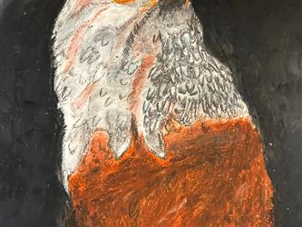 Oil Pastel Animal Project
