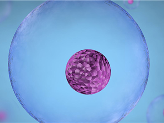 Image of nucleus