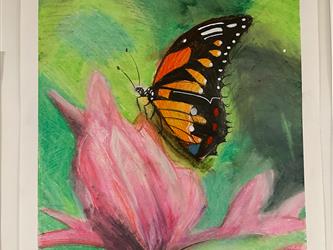 Oil Pastel Animal Project