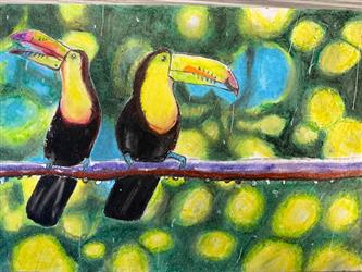   Oil Pastel Animal Project