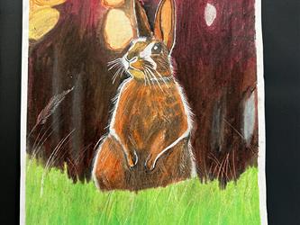 Oil Pastel Animal Project